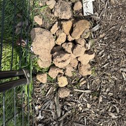 Victory Gardens