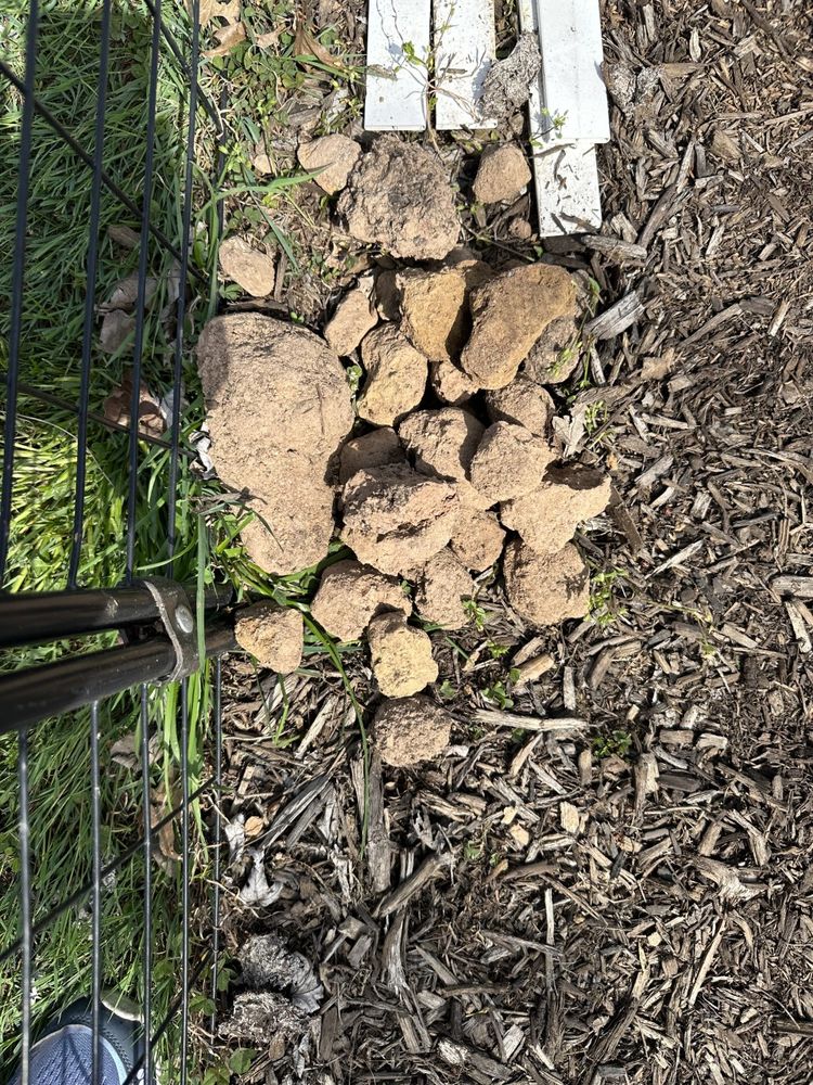 VICTORY GARDENS Updated September 2024 12 Reviews 424 Easton Rd