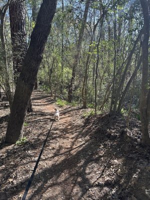 100 Acre Wood Preserve