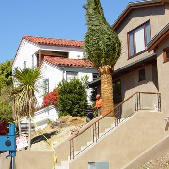 JN Land Maintenance - a man working on a palm tree - Landscaping Near Me - Inglewood, California JN Land Maintenance - a man working on a palm tree - Landscaping Near Me - Inglewood, California