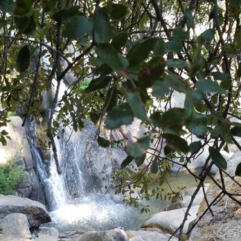 Chilnualna Falls Trail - Look beyond the trees - Hiking Near Me - Wawona, California