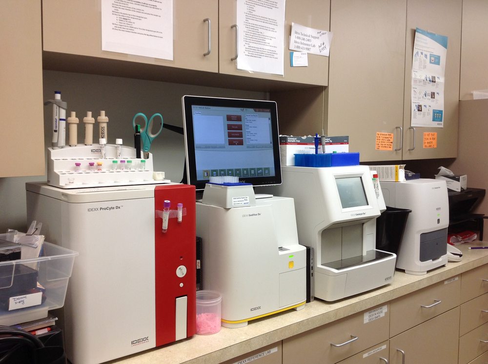 HYBLA VALLEY VETERINARY HOSPITAL CLOSED Updated September 2024 13 Photos & 72 Reviews