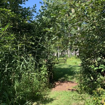 Pine Hollow Arboretum - Pine Hollow Arboretum @ Slingerlands - Recreation Centers Near Me - Slingerlands, New York Pine Hollow Arboretum - Pine Hollow Arboretum @ Slingerlands - Recreation Centers Near Me - Slingerlands, New York