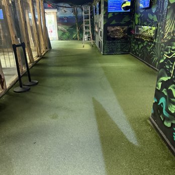 San Antonio Aquarium - Walking area - Aquariums Near Me - Leon Valley, Texas San Antonio Aquarium - Walking area - Aquariums Near Me - Leon Valley, Texas
