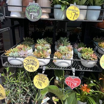 Trader Joe's - Grocery Near Me - Simi Valley, California