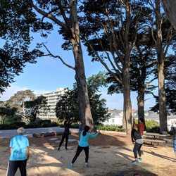 Rebecca Grossbard - Qigong & Wellness - Saturday morning qi gong session at Lafayette Park