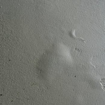 Monroe Concrete Coating & Remoldel - Bubbling that you can feel the separation! - Masonry/Concrete Near Me Monroe Concrete Coating & Remoldel - Bubbling that you can feel the separation! - Masonry/Concrete Near Me