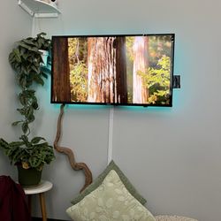 NeuConnections Ketamine & Wellness Clinic - View from the comfy chair in a treatment room