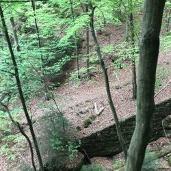 Nationalparkverwaltung Sächsische Schweiz - Nationalparkverwaltung Sächsische Schweiz - Felsentor 'Kuhstall'