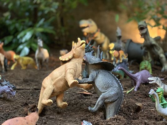 Saint John's Bar and Eatery by null