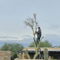 The Cutting Edge Tree Service & Landscaping - He is all about safety and protecting his surroundings.