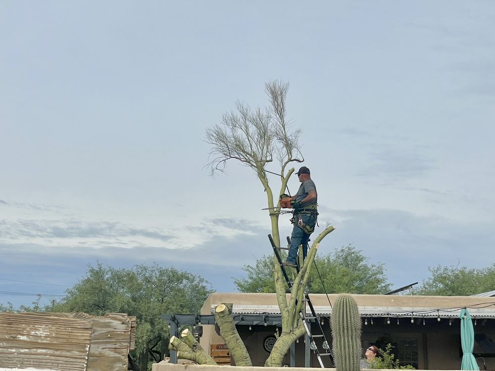 The Cutting Edge Tree Service & Landscaping - tree service in Tucson, AZ