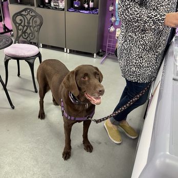 Bark 'N Berry - Pet Stores Near Me - Tucson, Arizona Bark 'N Berry - Pet Stores Near Me - Tucson, Arizona