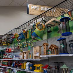 Explore our Wild Bird department featuring bird feeders, houses, seed, and accessories for every season.