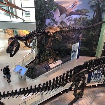 Witte Museum - Museums Near Me - San Antonio, Texas