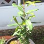Photo of Wirt's Point Nursery