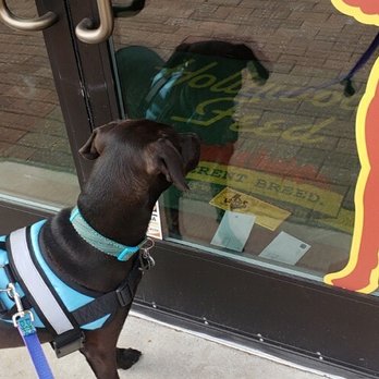 Hollywood Feed - Pet Stores Near Me - Dallas, Texas Hollywood Feed - Pet Stores Near Me - Dallas, Texas