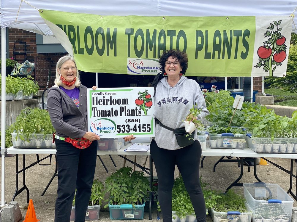 HEIRLOOM TOMATO PLANTS Updated May 2024 115 Southpoint Dr