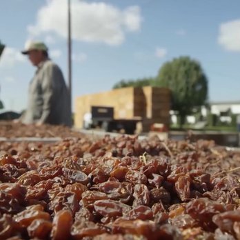 BLARE Media - Screen shot from one of the California Raisin's videos. - Video/Film Production Near Me - Fresno, California BLARE Media - Screen shot from one of the California Raisin's videos. - Video/Film Production Near Me - Fresno, California