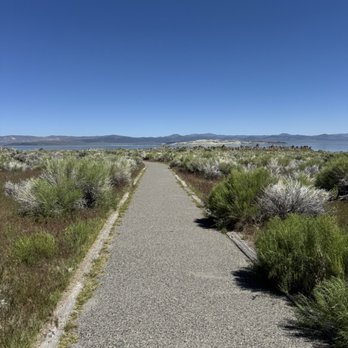 Mono Lake Tufa State Reserve - Lakes Near Me - Lee Vining, California Mono Lake Tufa State Reserve - Lakes Near Me - Lee Vining, California