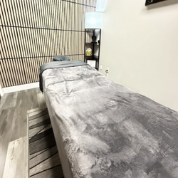 The Spine and Wellness Center