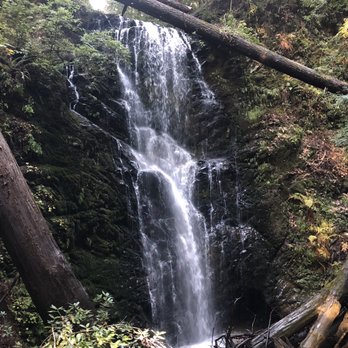 Big Basin Redwoods State Park - Parks Near Me - Boulder Creek, California