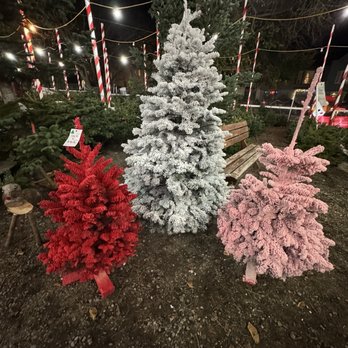 Clancy's Christmas Trees & Pumpkin Patch - Looking for a flocked Christmas tree? Clancy's can make your tree a traditional white, red, pink, or blue. - Christmas Trees Near Me - San Francisco, California