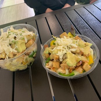 Harvest Station - Small and large size - Salad Near Me - Tampa, Florida