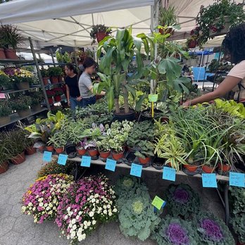 Union Square Greenmarket - Farmers Market Near Me - New York, New York Union Square Greenmarket - Farmers Market Near Me - New York, New York