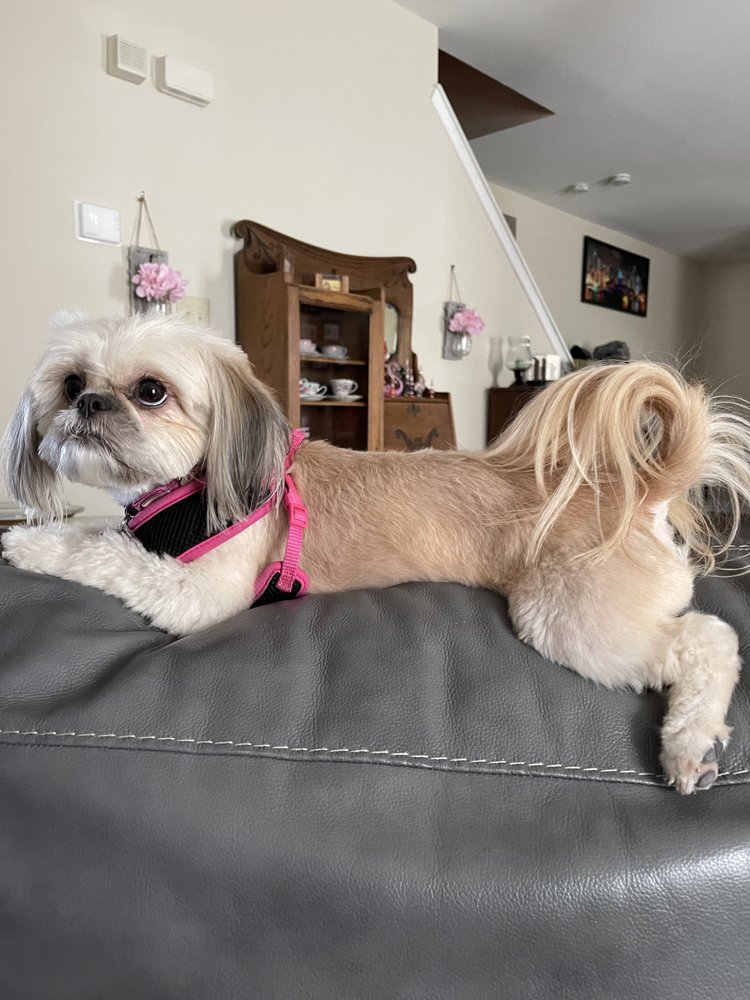 BUBBLE BATHS AND BEYOND Updated August 2024 12 Photos 113 W