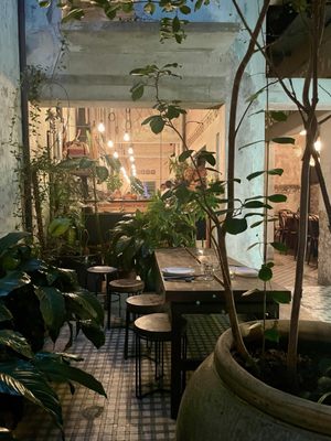 Chocha Foodstore by null