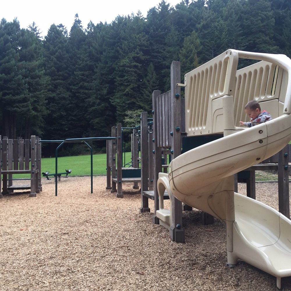 Redwood Park - Playground in the redwoods. - Parks Near Me - Arcata, California Redwood Park - Playground in the redwoods. - Parks Near Me - Arcata, California