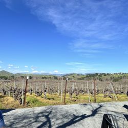 Besson Family Vinyard