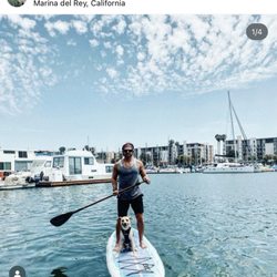 Dogfitt - Paddle board