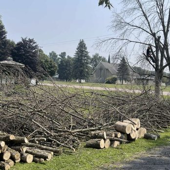 WBC Tree Service - Tree Services Near Me - Weyauwega, Wisconsin WBC Tree Service - Tree Services Near Me - Weyauwega, Wisconsin
