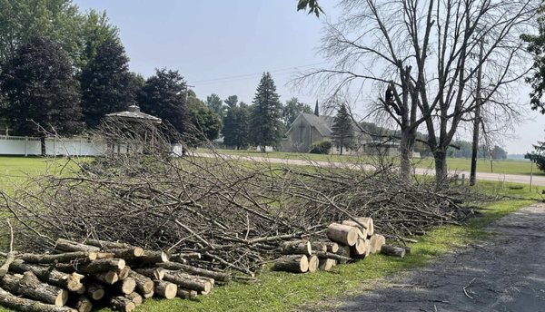 Storm Clean-Up Services - Storms can leave a trail of chaos in your yard—downed branches, damaged trees, and dangerous debris that threaten your property and peace of mind. When disaster strikes, count on WBC Tree Services for prompt, professional storm clean-up in your community.
Our experienced crew responds quickly to assess the damage and restore safety to your landscape. We expertly remove fallen trees and hazardous limbs, clear debris from your property, and ensure your home, driveway, and outdoor spaces are secure and accessible once again. Using state-of-the-art equipment, we handle even the toughest clean-up jobs efficiently and safely, minimizing further risk to your property.
From quick branch pickups to large-scale debris removal after severe weather, we treat every job with care and attention to detail. Our goal is to make storm aftermath as stress-free as possible, bringing your yard back to order with courteous service and a thorough clean every time.
Why choose WBC Tree Services for storm clean-up?
• Rapid emergency response and clear communication
• Safe, efficient debris and tree removal
• Comprehensive site cleanup—no mess left behind
• Friendly, understanding professionals who care about your home
Don’t face storm damage alone. Regain control and peace of mind with help from the experts.
Call or text WBC Tree Services at (920) 427-2596 for immediate storm clean-up assistance or to request your free estimate today! Storm Clean-Up Services - Storms can leave a trail of chaos in your yard—downed branches, damaged trees, and dangerous debris that threaten your property and peace of mind. When disaster strikes, count on WBC Tree Services for prompt, professional storm clean-up in your community.
Our experienced crew responds quickly to assess the damage and restore safety to your landscape. We expertly remove fallen trees and hazardous limbs, clear debris from your property, and ensure your home, driveway, and outdoor spaces are secure and accessible once again. Using state-of-the-art equipment, we handle even the toughest clean-up jobs efficiently and safely, minimizing further risk to your property.
From quick branch pickups to large-scale debris removal after severe weather, we treat every job with care and attention to detail. Our goal is to make storm aftermath as stress-free as possible, bringing your yard back to order with courteous service and a thorough clean every time.
Why choose WBC Tree Services for storm clean-up?
• Rapid emergency response and clear communication
• Safe, efficient debris and tree removal
• Comprehensive site cleanup—no mess left behind
• Friendly, understanding professionals who care about your home
Don’t face storm damage alone. Regain control and peace of mind with help from the experts.
Call or text WBC Tree Services at (920) 427-2596 for immediate storm clean-up assistance or to request your free estimate today!