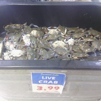 New Grand Mart - Live crab. - International Grocery Near Me - Falls Church, Virginia
