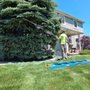 Kevin The Tree Guy