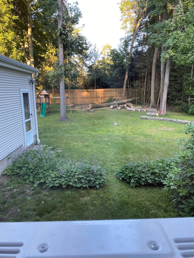 ET Tree Removal - tree service in Suffield, CT