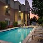 Photo of Springhill Suites St. Petersburg Clearwater