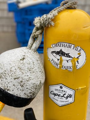 Chatham Pier Fish Market by null