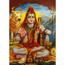 Pandit Shivananda - Astrology