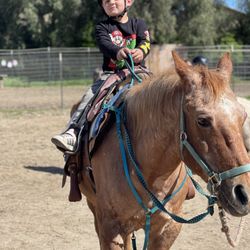 Santa Ynez Valley Horseback Rides
