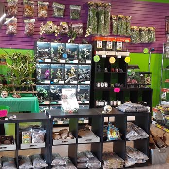 Zenergy Gamers - Lizards of the Coast - Hobby Shops Near Me - Goose Creek, South Carolina Zenergy Gamers - Lizards of the Coast - Hobby Shops Near Me - Goose Creek, South Carolina