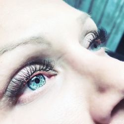 The Lash Studio - Soft natural looking lash sets is what we specialize in
