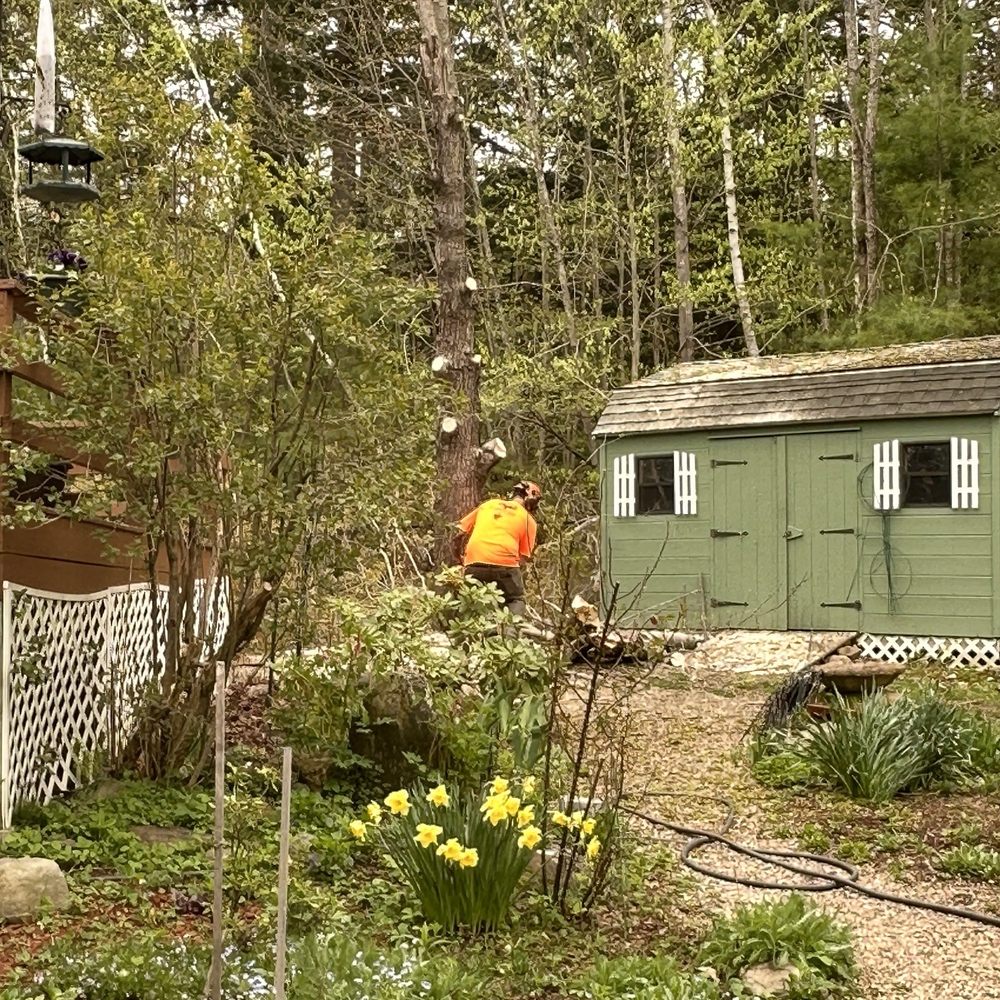 Huckins Tree & Landscape - Tree Services Near Me Huckins Tree & Landscape - Tree Services Near Me