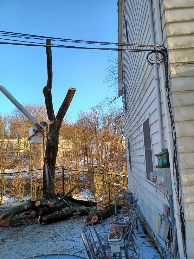 A ONE TREE CARE Wappingers Falls, New York Tree Services Yelp