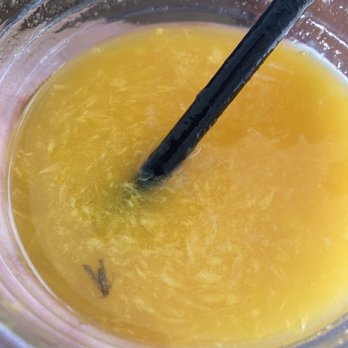 Espresso Roma - Dead insect found in my orange juice - Coffee & Tea Near Me - Eugene, Oregon