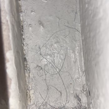 Zisty Clean - Dog hair in the stair railing. - Home Cleaning Near Me - Denver, Colorado