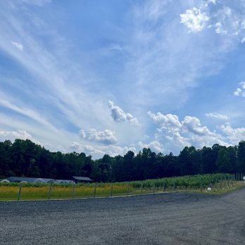 Saudé Creek Vineyards - Spectacular views - Wineries Near Me - Lanexa, Virginia Saudé Creek Vineyards - Spectacular views - Wineries Near Me - Lanexa, Virginia